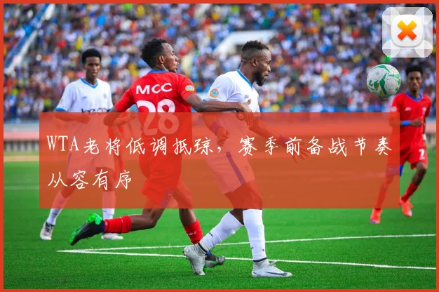 WTA老将低调抵琼，赛季前备战节奏从容有序