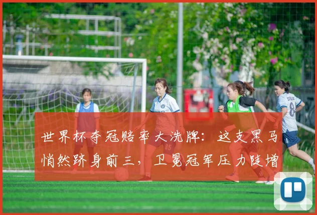 世界杯夺冠赔率大洗牌：这支黑马悄然跻身前三，卫冕冠军压力陡增